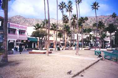 Crescent Avenue and Beach