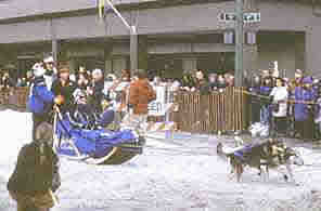 Iditarod sled