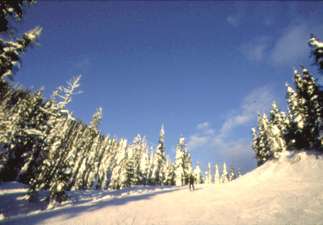 Fernie ski slope