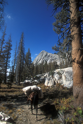 002YosemiteBackcountry.jpg (129946 bytes)