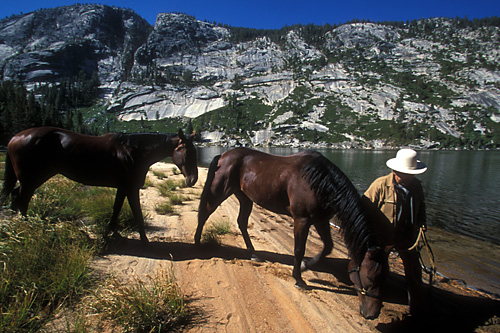 004WateringHorses_WargurtonLake.jpg (141660 bytes)