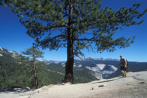 006HikingTheRidge2_HalfDome.jpg (134930 bytes)