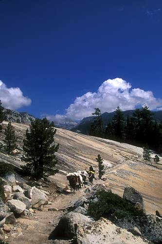 010BackcountryTrail.jpg (135888 bytes)