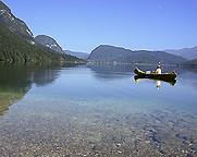 LBcoverB.jpg (5385 bytes)