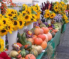 market.jpg (19145 bytes)