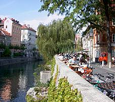 river.jpg (17892 bytes)