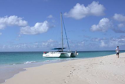 buckislanda.jpg (14212 bytes)