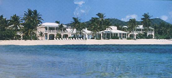 hibiscus2a.jpg (28996 bytes)