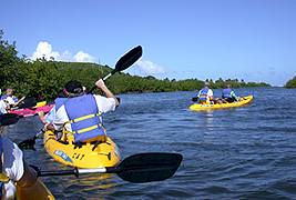 kayak2a.jpg (12099 bytes)