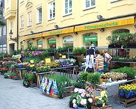 Munich Market