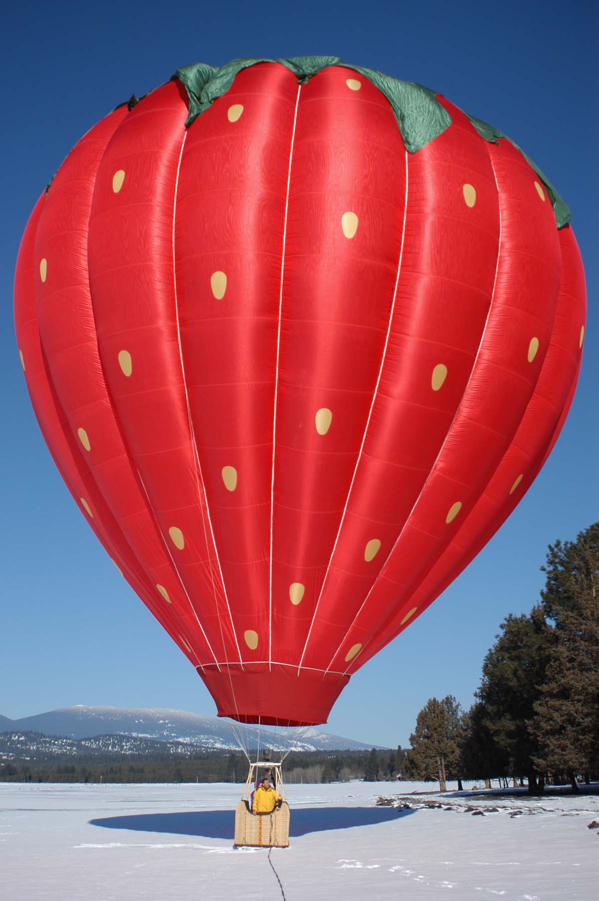 Little Red Balloon – Alice In Wonderland – Little Red Balloon
