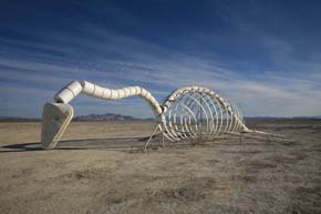 Burning Man 2009