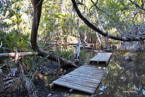 Eagle Island path