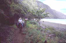 Mule trail