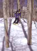 Tree skiing