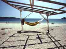 Hammock