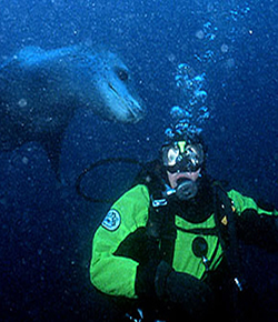 Yvette Cardozo diving with a leopard seal