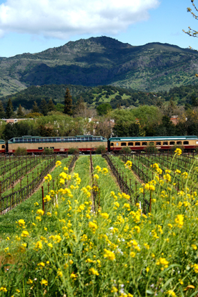 Napa Valley Wine Train