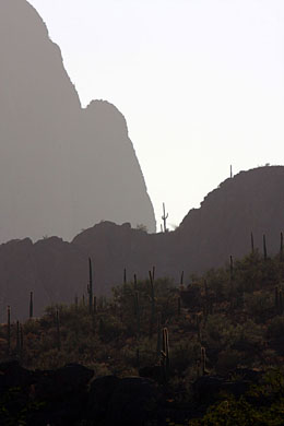 Saguaro National Park West