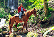 Horseback riding in Smokey Mountain National Park