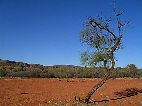 Australian Outback