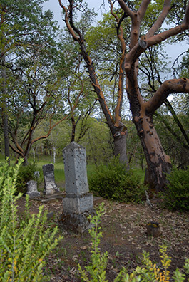                       Where the gold rush started        Statue remembers Peter Britt          