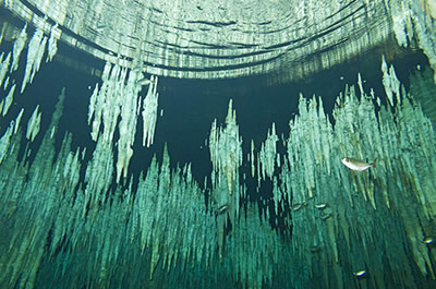 Riviera Maya cavern formations