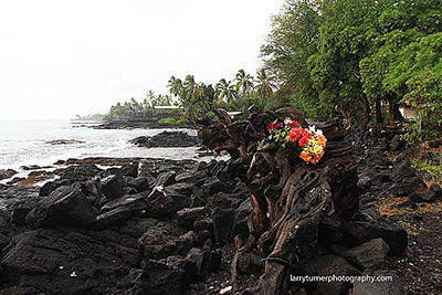 Kona Coast