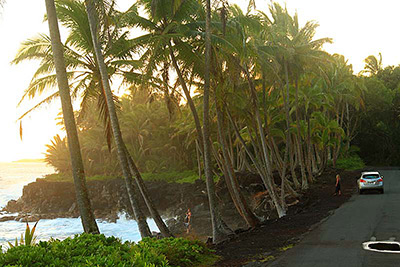 Puna Coast pull out