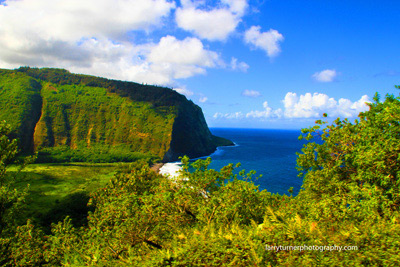 Waipio Valley mouth