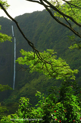 Waipio waterfall