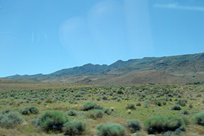 Scrub desert