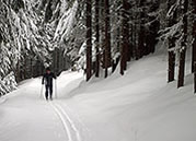 Cross country ski Rossland BC