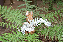 New Zealand silver fern