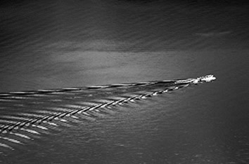 Crater Lake tour boat