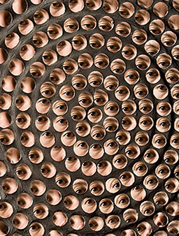 Exploratorium All eyes on me