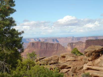 Needles District of Canyonlands National Park