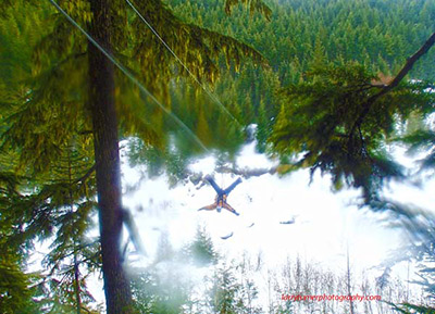 Whistler ziplining