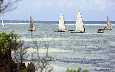Zanzibar fisherman going home