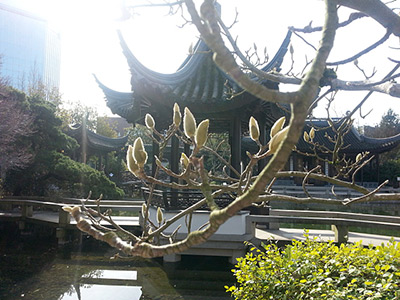 Lan Su Chinese Gardens