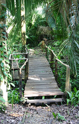 Chimino Island footbridge
