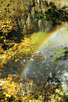 Teton Valley rainbow