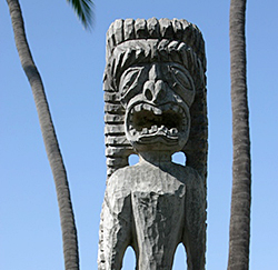 Hawaii idol