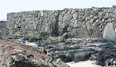 Puuhonua Alealea