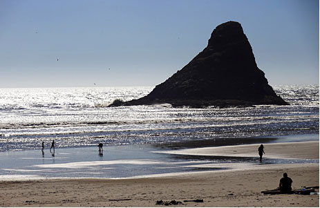 Sea stack at Devils Elbow State Park