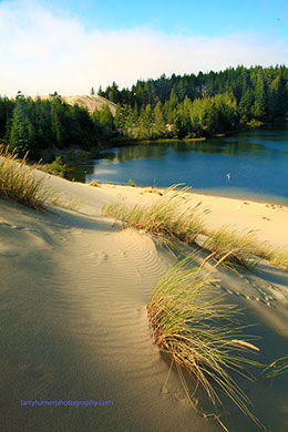 Oregon dune and lake