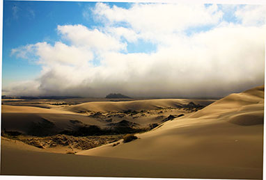 Moody dunes, Oregon