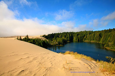 Oregon Dunes Recreation Area