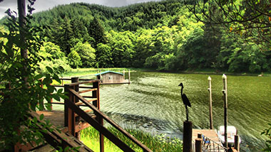 Oregon cabin
