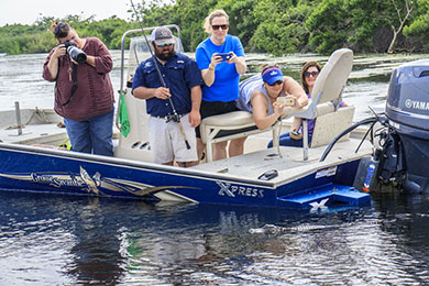 Photographing alligator on eco tour